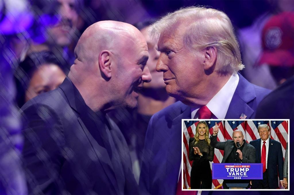 Dana White wants 'nothing to do with politics' after helping Trump win